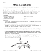Chromatophores