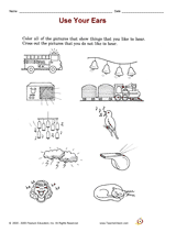 Use Your Ears
